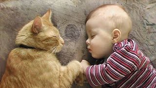 When we explore the world together 👶❤️🐱Cute Cats and Human