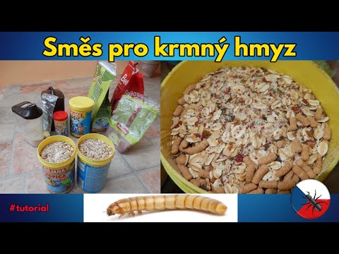 Video: Jak používáte křemelinu na hmyz?