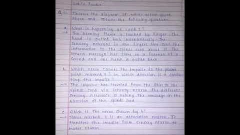 Class 10th Science 2 Bridge Course Activity Sheet 9