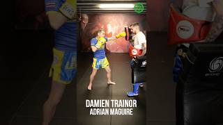 Muay Thai Training - Changing Levels with Damien Trainor