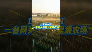 How Far Can LoRaWAN Reach? Real Smart Agriculture Case