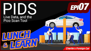 PIDS Live Data, and the Pico Scan Tool - Lunch and Learn Episode 7