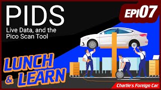 PIDS Live Data, and the Pico Scan Tool - Lunch and Learn Episode 7