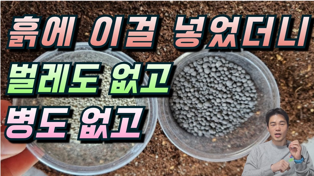 토양살충제 사용법. 왜/언제/어떻게 사용하나