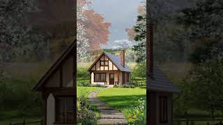 One Place, Four Seasons | Nature Transformation