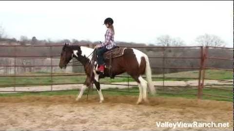 The Big Kaweah - Kay  ***For info, price, etc., go to our website***  Valley View Ranch