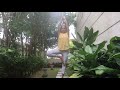 Treepose aka Vrikshasana (Stability and Equillibrium)
