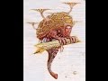 【都市伝説】　5000万年後の人類の姿
