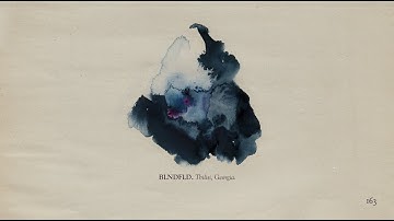 The Memoir - Page 163: BLNDFLD