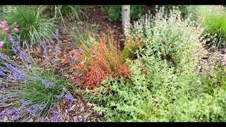 Full Basic Xeriscaping Irrigation Tips and Tricks | Big Rock Premium Landscaping And Design News