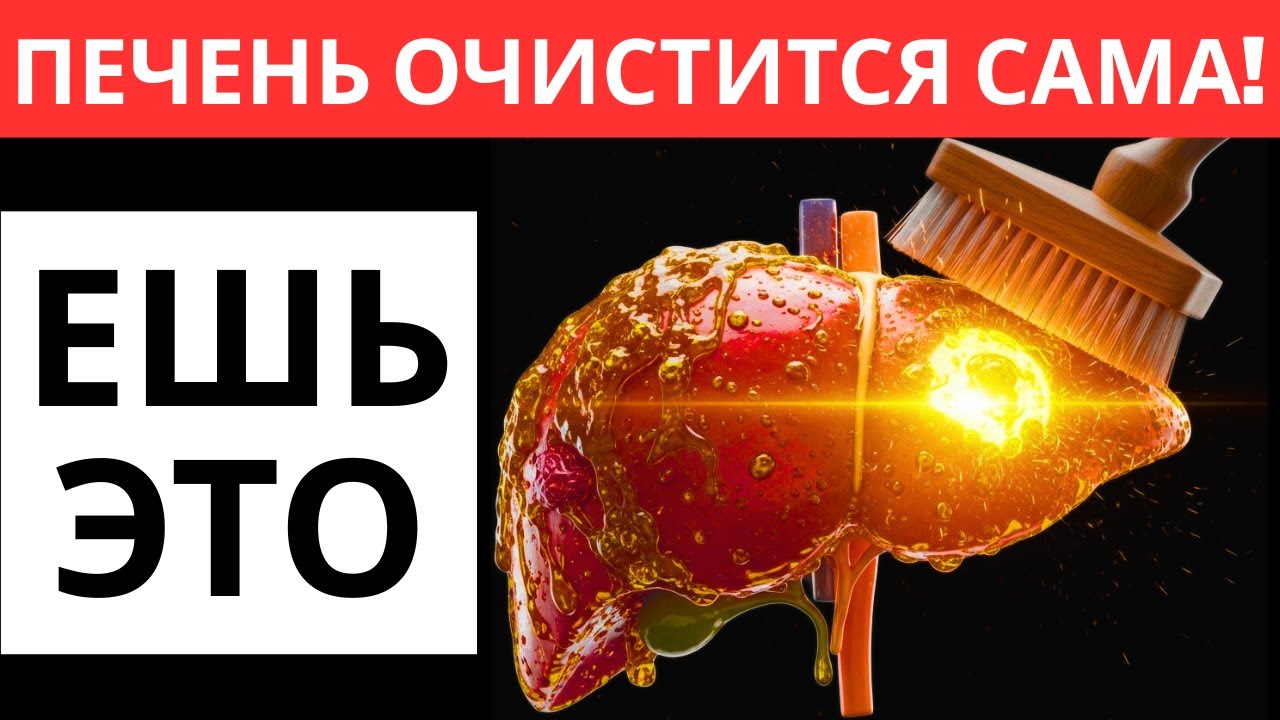 «СТОП ГЕПАТОЗ! 5 золотых продуктов для печени, которые реально сжигают жир (Наука 2026)»