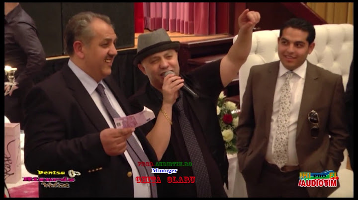 NICOLAE GUTA -  DOINE HIT -  Cand e frate langa frate - Jocuri  romano - Manele -   Joe Germania