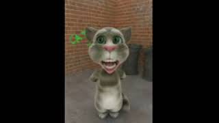Talking Tom 3gp.