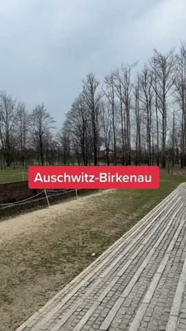 Todesfabrik Birkenau - bei Interesse gibt es das Long auf meinem Kanal #auschwitz #history #war