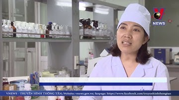 Vùng trồng Cà gai leo đạt tiêu chuẩn GACP - WHO