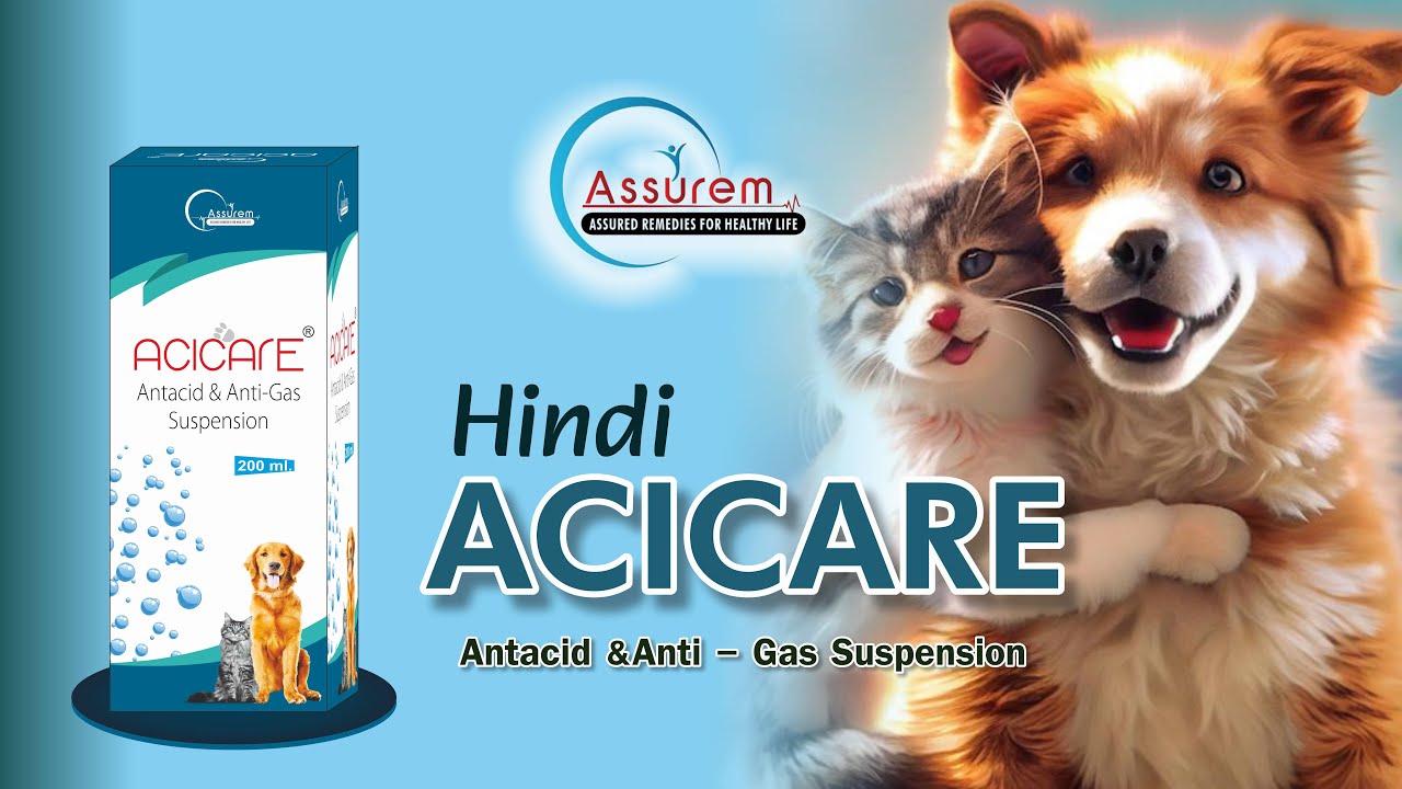 Acicare Suspension: आपके पालतू के पाचन स्वास्थ्य का परफेक्ट समाधान | Assurem Healthcare