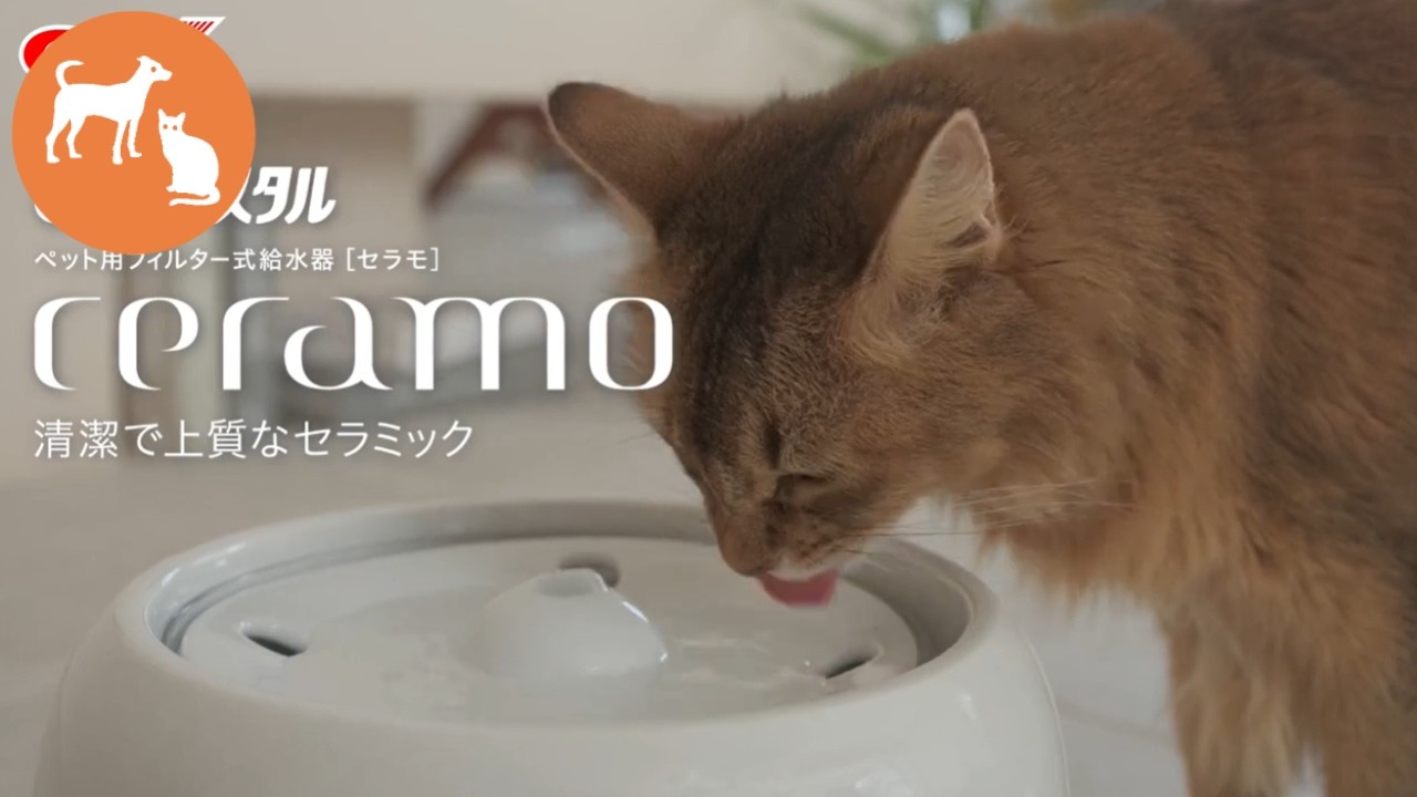 上質で清潔なセラミックの給水器ピュアクリスタル セラモ - YouTube