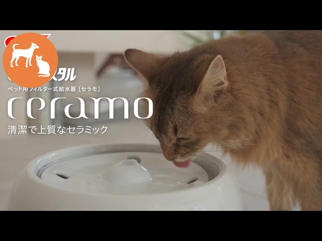 上質で清潔なセラミックの給水器ピュアクリスタル セラモ - YouTube