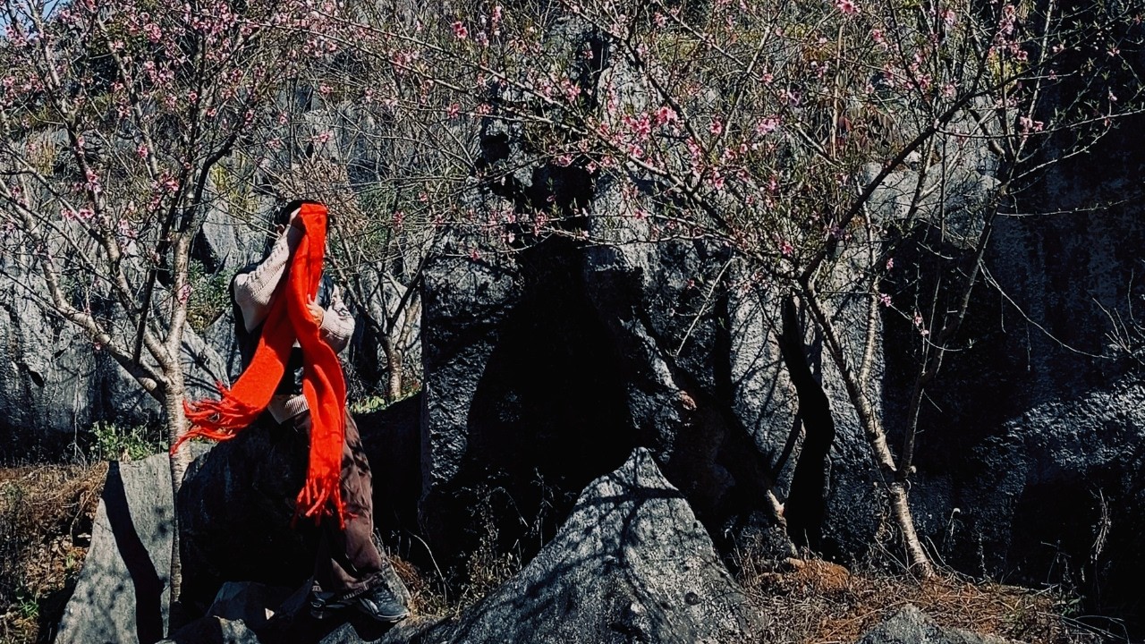 📗 thedalbum | Hà Giang - xuân về trên đá, non ngàn nở hoa (with English subtitles)