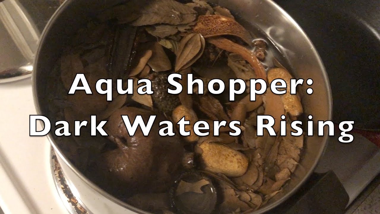 Aqua Shopper: Dark Water Rising