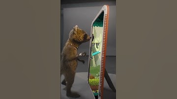 Bit Heroes Runner, Now on iOS! #endlessrunner #endlessrungame #rocketraccoon #meme #gamermeme #games