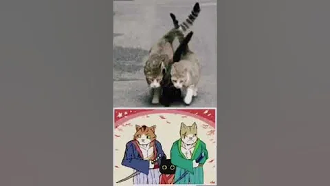 Night Dancer animals 5 #meme#shortvideo#funny#animals#shorts - DayDayNews