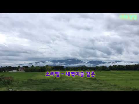 소리엘 - 새벽이슬 같은