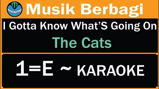 I Gotta Know What’S Going On   The Cats   1=E   KARAOKE