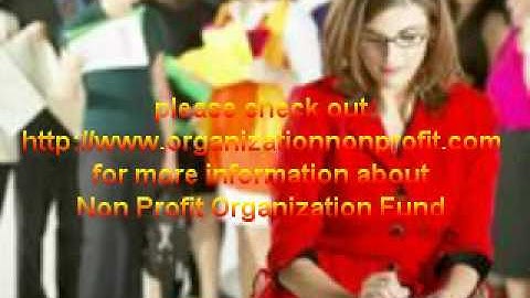 Non Profit Organization Fund, Nonprofit Organization