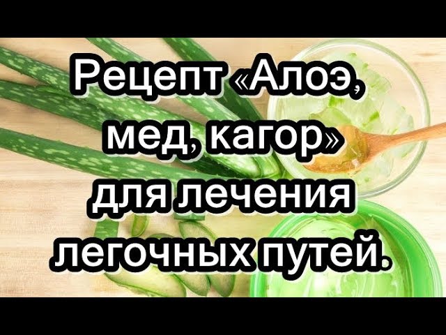 Рецепт «Алоэ, мед, кагор» для лечения легочных путей