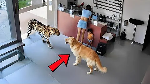 BEST of Hero Animals That Saved Human Lives 2025, You Must See!