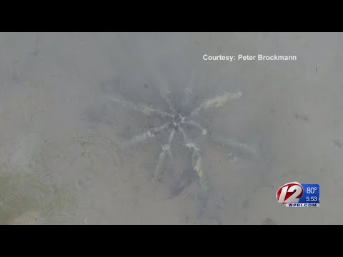 Strange Metallic Object Found in Waters off Westerly