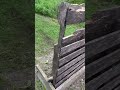 Shooting pezz out of a shotgun. #gun #shotgunshells #shotgunshell