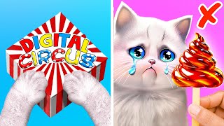 My Kitten Received a Birthday Gift!  *Best Crafts And DIYs From My Pet*
