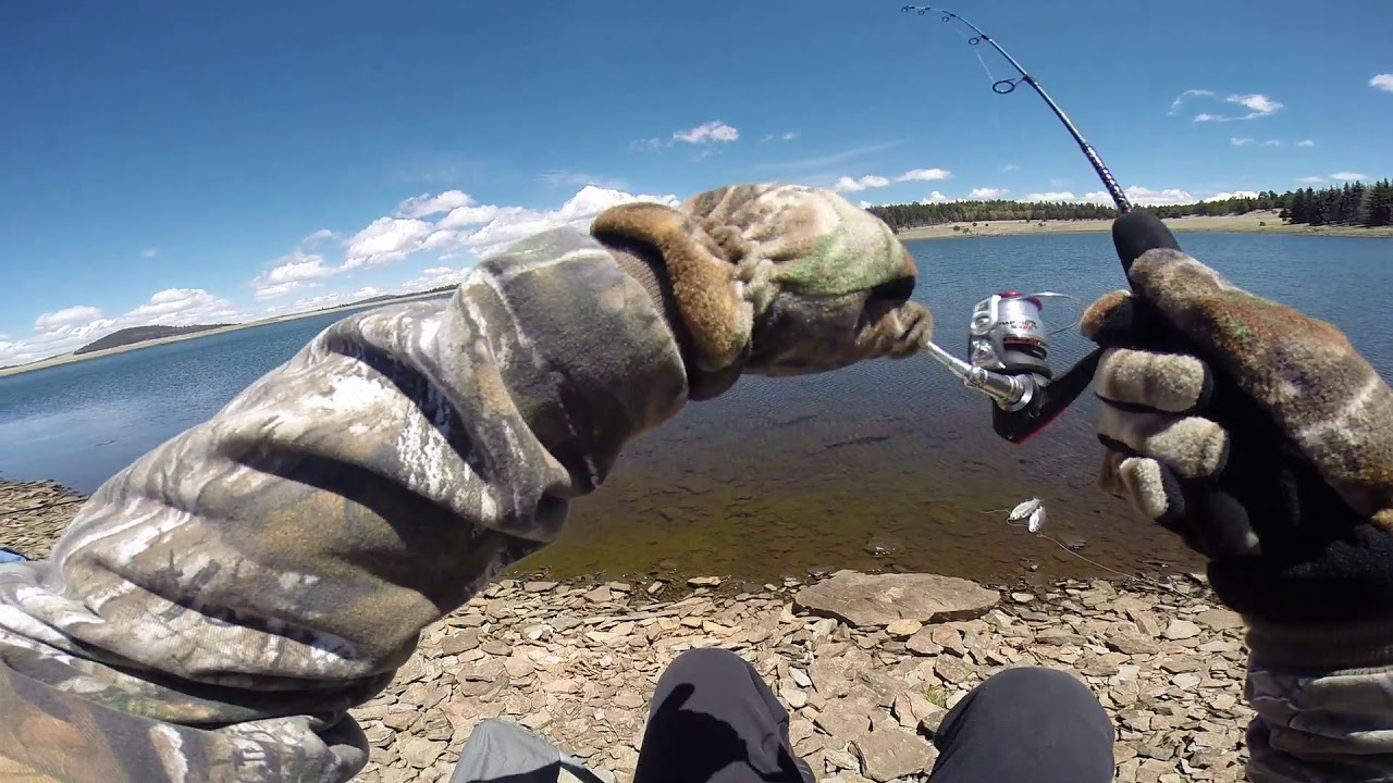 Big Lake Arizona Trout Fishing with Mini Ice Rod YouTube