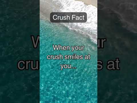 The Crush Science