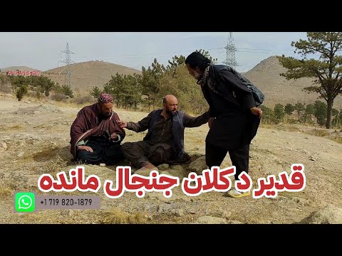 خسر قدیر خواهان مهریه است و قدیر را مجبور به پرداخت آن میگرداند