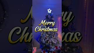 Merry Christmas - Our Family Wishes You a Happy Holiday! 🎄🎉🎊