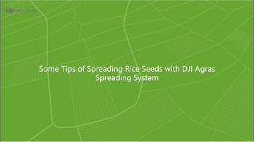 Some Tips of spreading rice seeds with DJI Agras spreading system