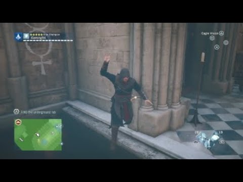 AC UNITY bugs