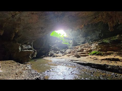 (2시간 무편집) 베트남 동굴 _ Động Ngườm Ngao