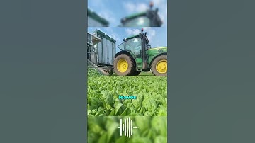 The inventor of the spinach harvester was a genius