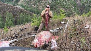 2021 Solo Archery Elk Hunt Late Season Western WA ELK Down!