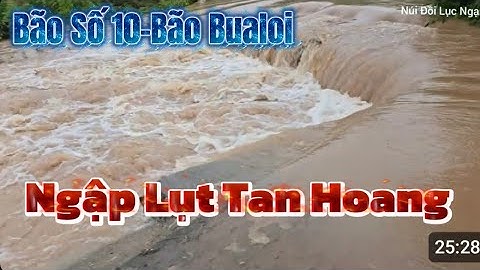 HOÀN LƯU BÃO SỐ 10 MƯA LẠI LỤT VƯỜN TÁO NGẬP SÂU   I NÚI ĐỒI LỤC NGẠN
