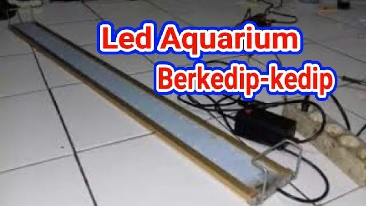 memperbaiki lampu led aquarium