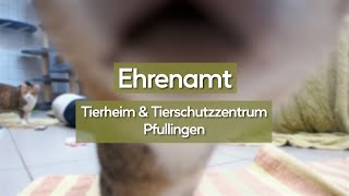 Ehrenamt - Tierschutzzentrum & Tierheim Pfullingen