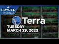 LUNA hits all-time high as Terra steps up bitcoin purchasing: CNBC Crypto World