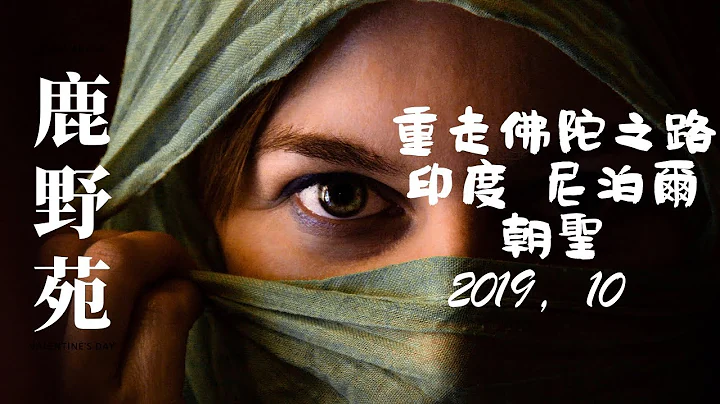 2019重走佛陀之路——印度 尼泊爾朝聖禪修紀實之一（鹿野苑） - 天天要聞
