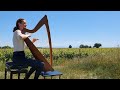 Turlough ocarolan george reynolds  on celtic harp keltische harfe