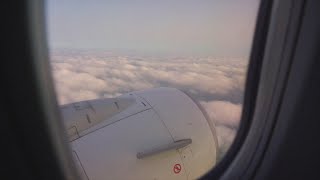 Toxic fumes leaking into airplane cabins, report found Net Worth